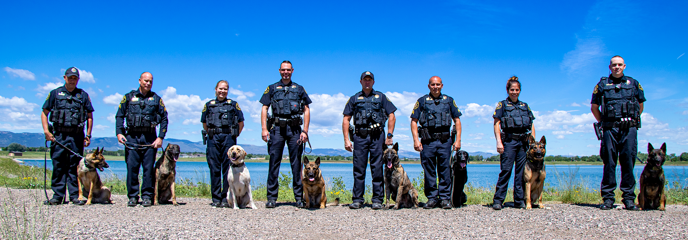 Wind miner k9. К9 полиция США. K-9 Unit. K9 Unit Police. Кинолог полиции США.